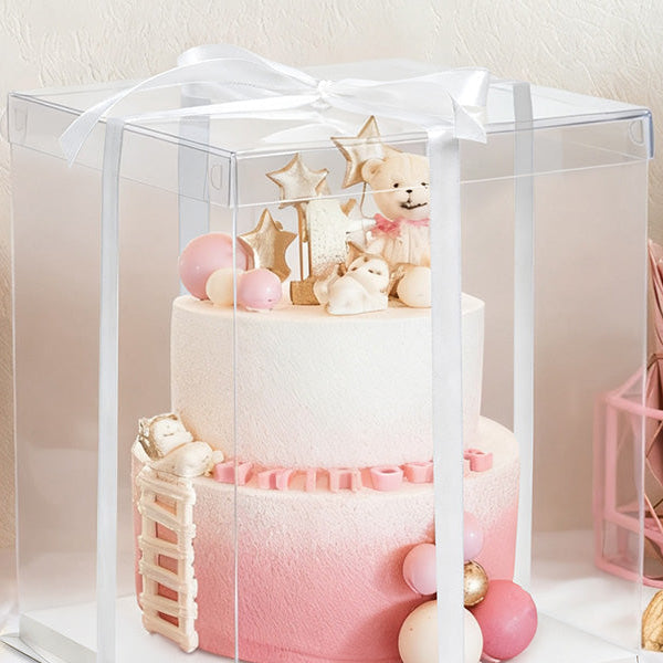 10x10x12 inch Clear Cake Box