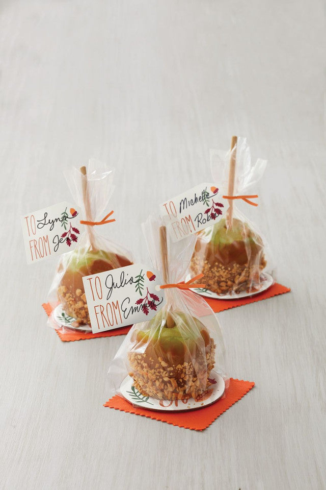 5 Inch Bamboo Lollipop Sticks, 30-Count, Wilton