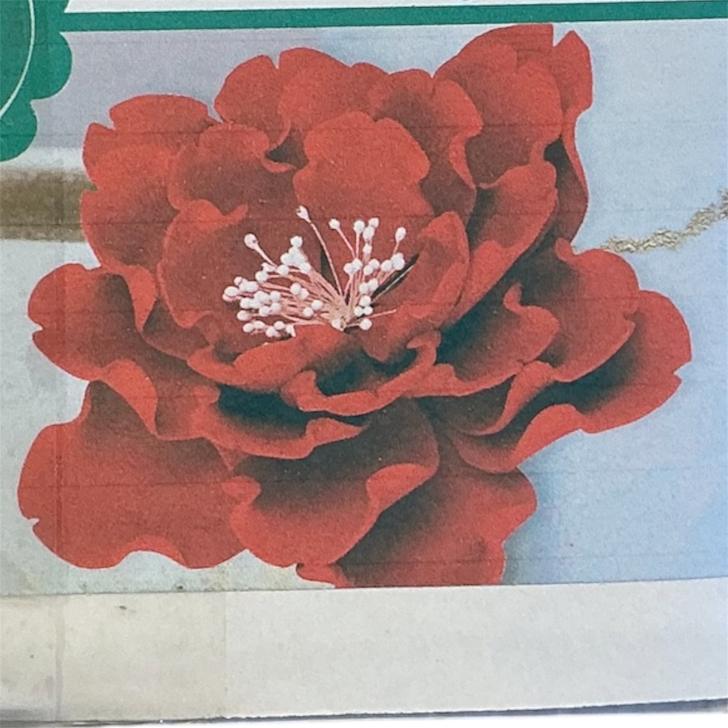 XL Red Peony
