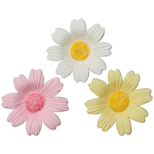 White Daisy Gum Paste, 6 Ct