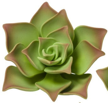 Green Succulent Gum Paste Flower, Large