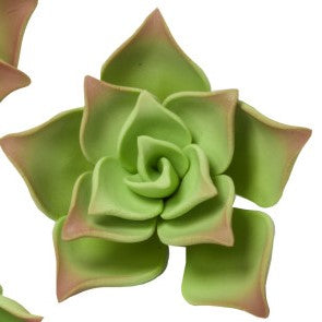 Green Succulent Gum Paste Flower, Medium