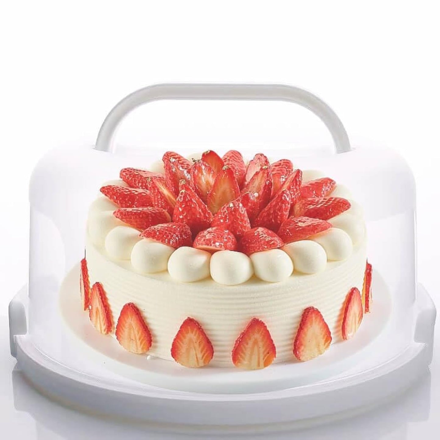 Cake and Cupcake Carrier, Fits 10" Cake or 13 Standard Cupcakes