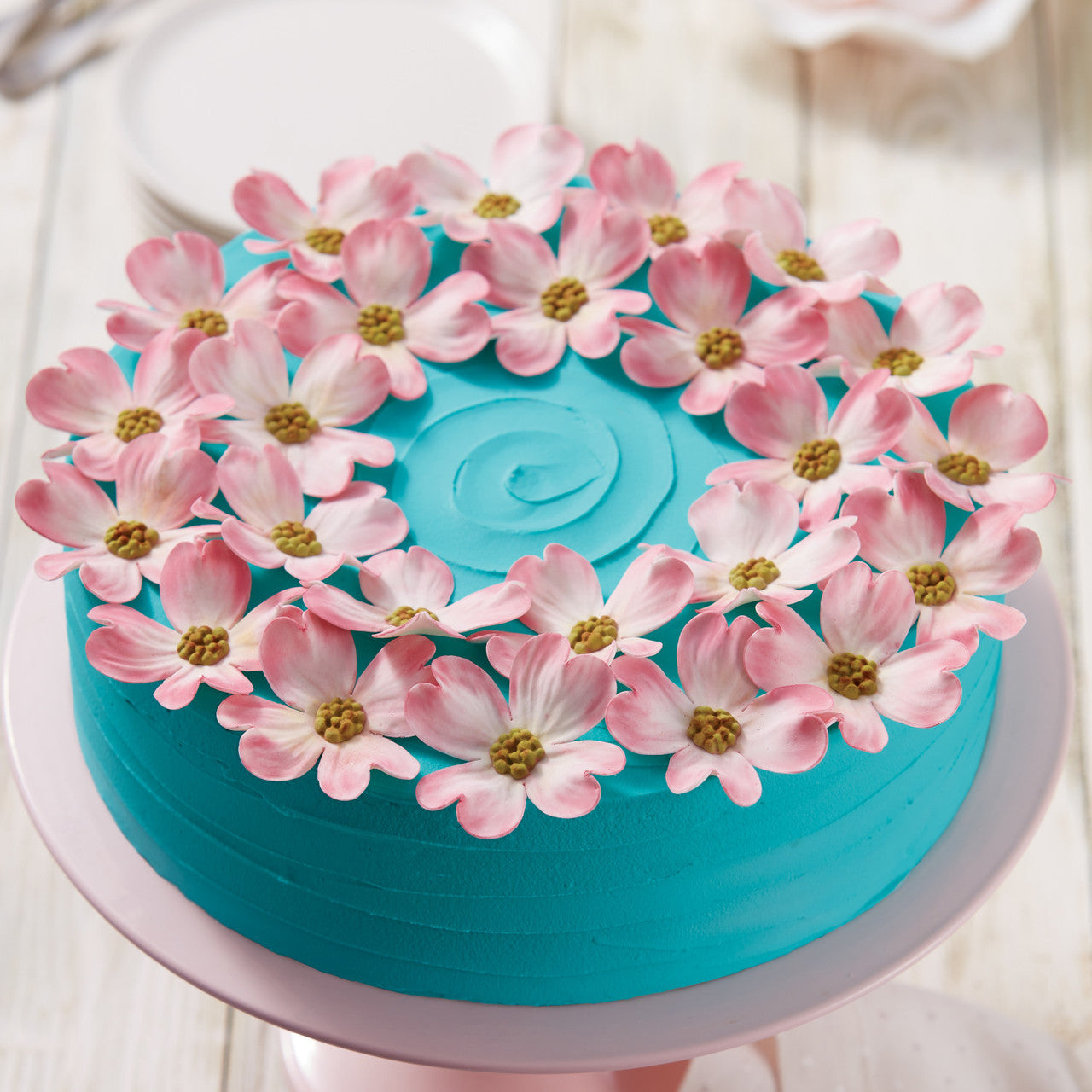 Aluminum Bakeware Round Cake Pan 10x3 Inch, Wilton